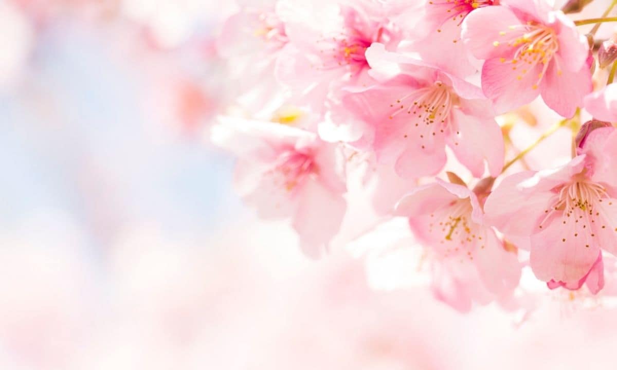 春分の日は西洋占星術の新年『宇宙元旦』